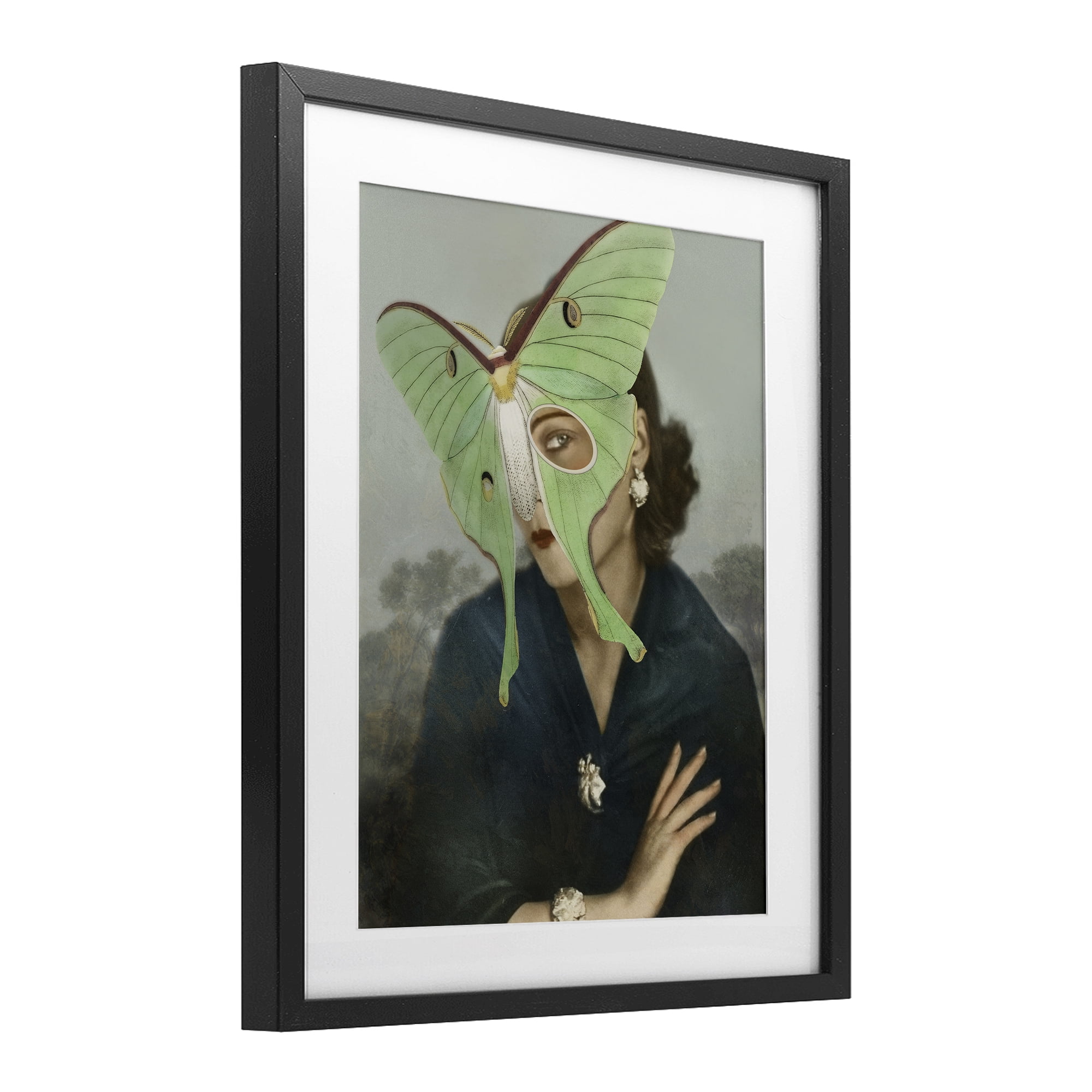 Stupell Industries Naturalist Portrait with Moth Black Framed Print Under Glass, design by Victoria Barnes