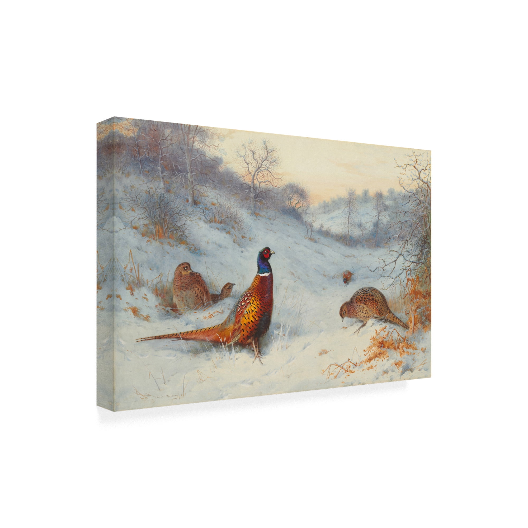 Trademark Fine Art 'Pheasant in the snow' Canvas Art by Archibald