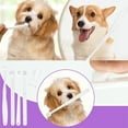 thumbnail image 4 of Bathroom other Plastics Toothbrushs Set Pet Toothbrush Set Oral Cleaning Finger Toothbrush Dog And Cats Tooth Stain Removal Tool Suitable For Pet Oral Teeth Cleaning, 4 of 6