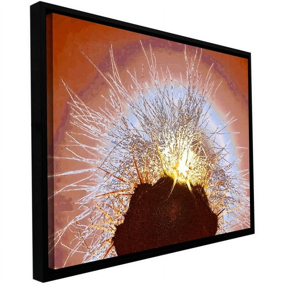 ArtWall Dean Uhlinger "Velludo Cacto" Floater Framed Gallery-Wrapped Canvas