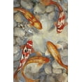 thumbnail image 2 of Art.com Vibrant Koi I Art Print by Tim O'toole, 16" x 24", 2 of 4