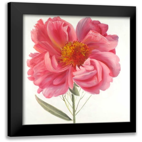 Atelier B Art Studio 12x12 Black Modern Framed Museum Art Print Titled - Pink Peony Flower
