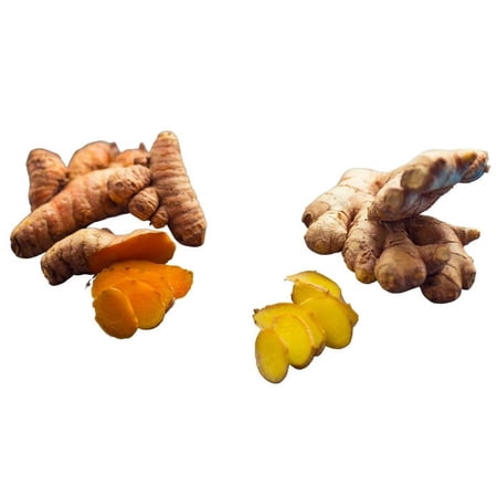 Turmeric Zone - Fresh Produce Organic Turmeric Root and Organic Ginger Root Pack - 6 Oz (Curcuma Fresh) Best For Ginger Smoothie Turmeric