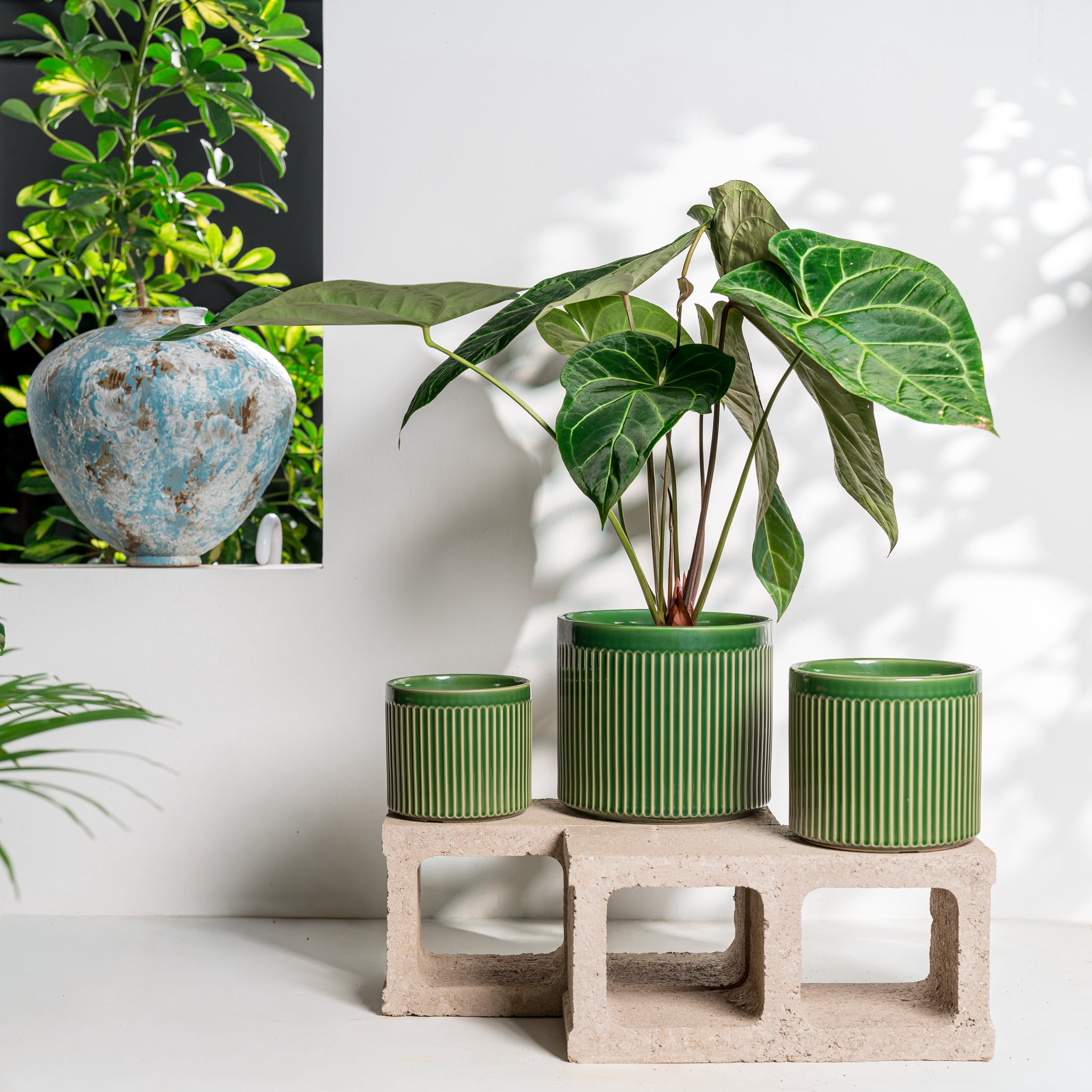 UMIAMOY Modern Cylinder Set of 3 Ceramic Flower Pots,5.7+7.0+8.6 inch Plant Pots with Drainage Holes and Saucer,Indoor Outdoor Planters for Home Patio Garden Decoration