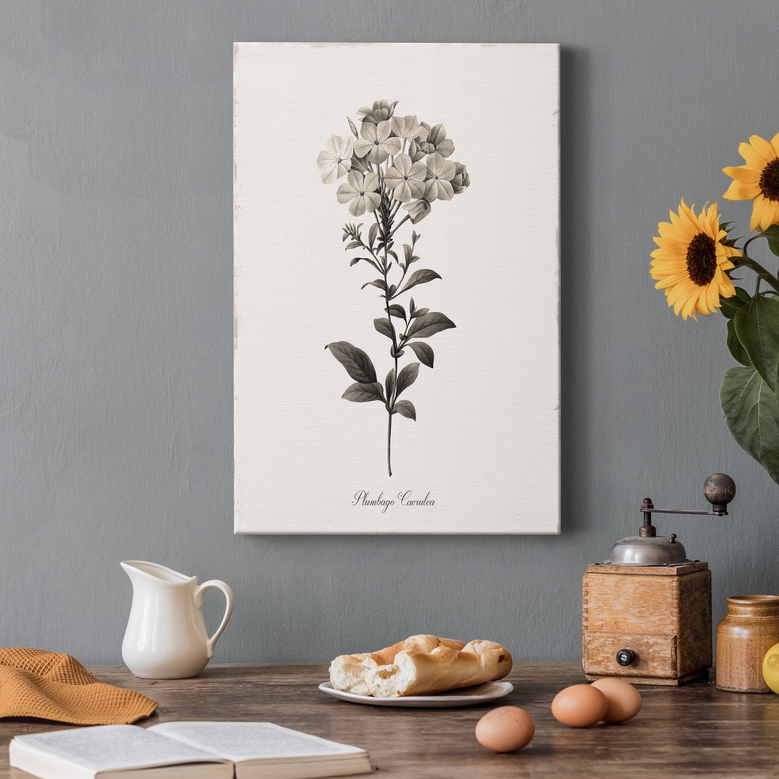 Sketchbook Leadwort Premium Gallery Wrapped Canvas - Ready to Hang - 40 x 60