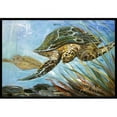 thumbnail image 1 of Carolines Treasures JMK1118JMAT Loggerhead Sea Turtle Indoor & Outdoor Mat- 24 x 36 in., 1 of 4