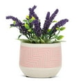thumbnail image 2 of Etched Planter, 2 of 4