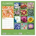 thumbnail image 2 of 2019 Flowers 12" x 12" January 2019-December 2019 Wall Calendar, 2 of 6