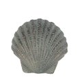 thumbnail image 1 of Privilege 19890 Coquillage Sculpture&44; Vert Vert, 1 of 1