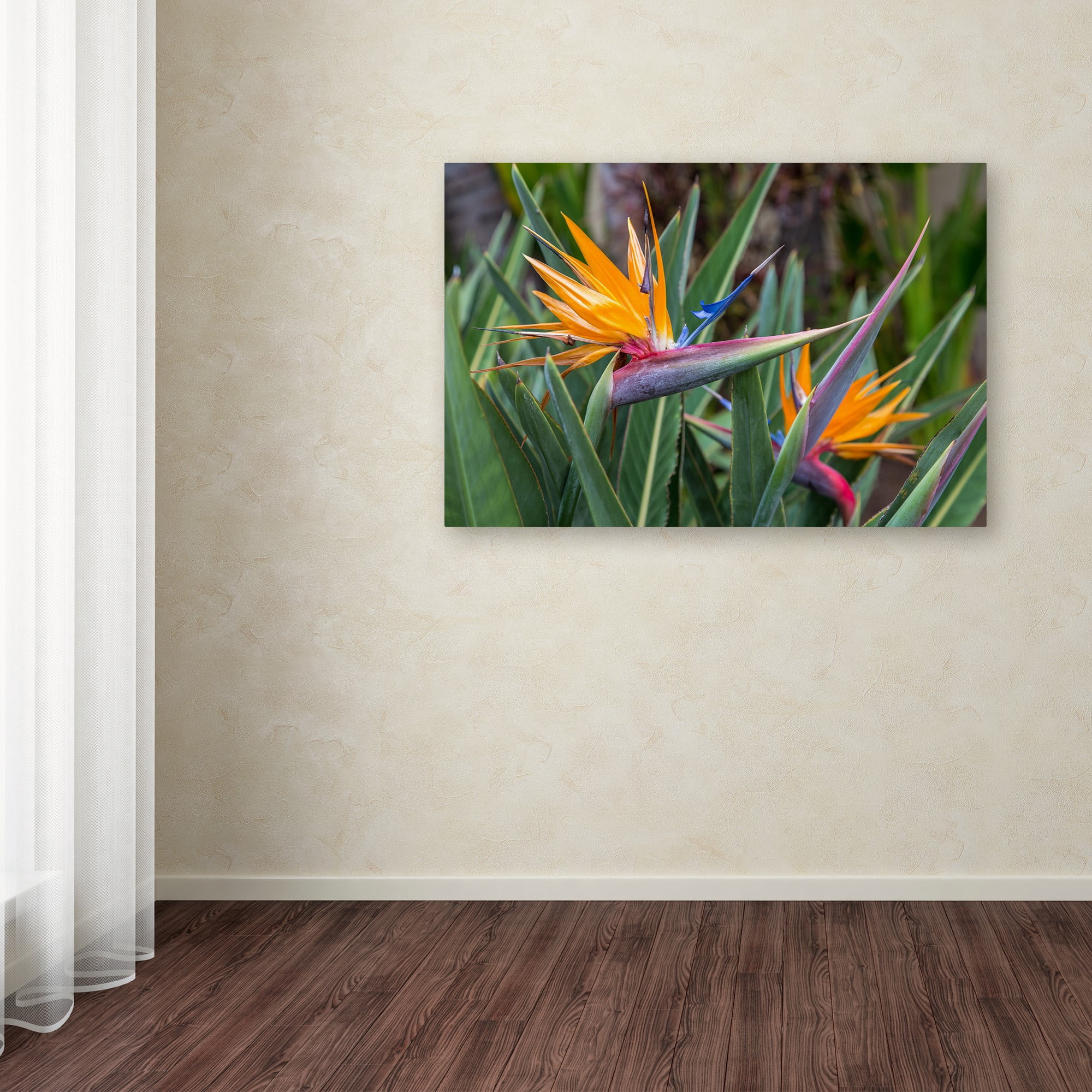 Trademark Fine Art 'Two Birds of Paradise' Canvas Art by Pierre Leclerc
