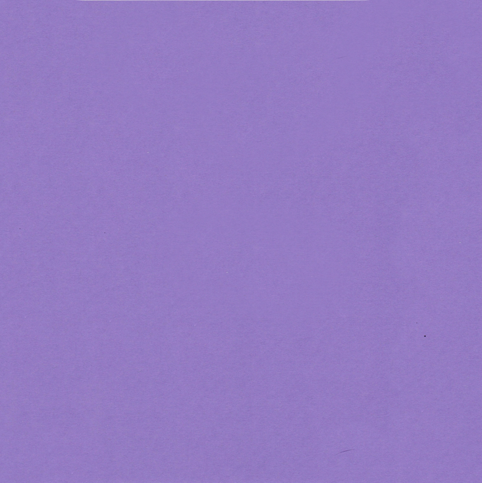 Grape Purple Cardstock - 12 x 12 inch - 65Lb Cover - 25 Sheets
