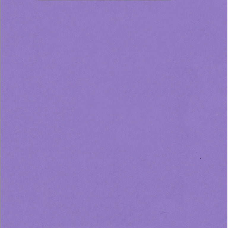 Grape Purple Cardstock - 12 x 12 inch - 65Lb Cover - 25 Sheets