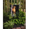 thumbnail image 2 of Carolines Treasures SS8479GF Starry Night Rhodesian Ridgeback Flag - Garden Size- 11 x 15 in., 2 of 3
