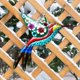 thumbnail image 4 of Arte de la pared Cola colibrí colorido 3D, 4 of 8