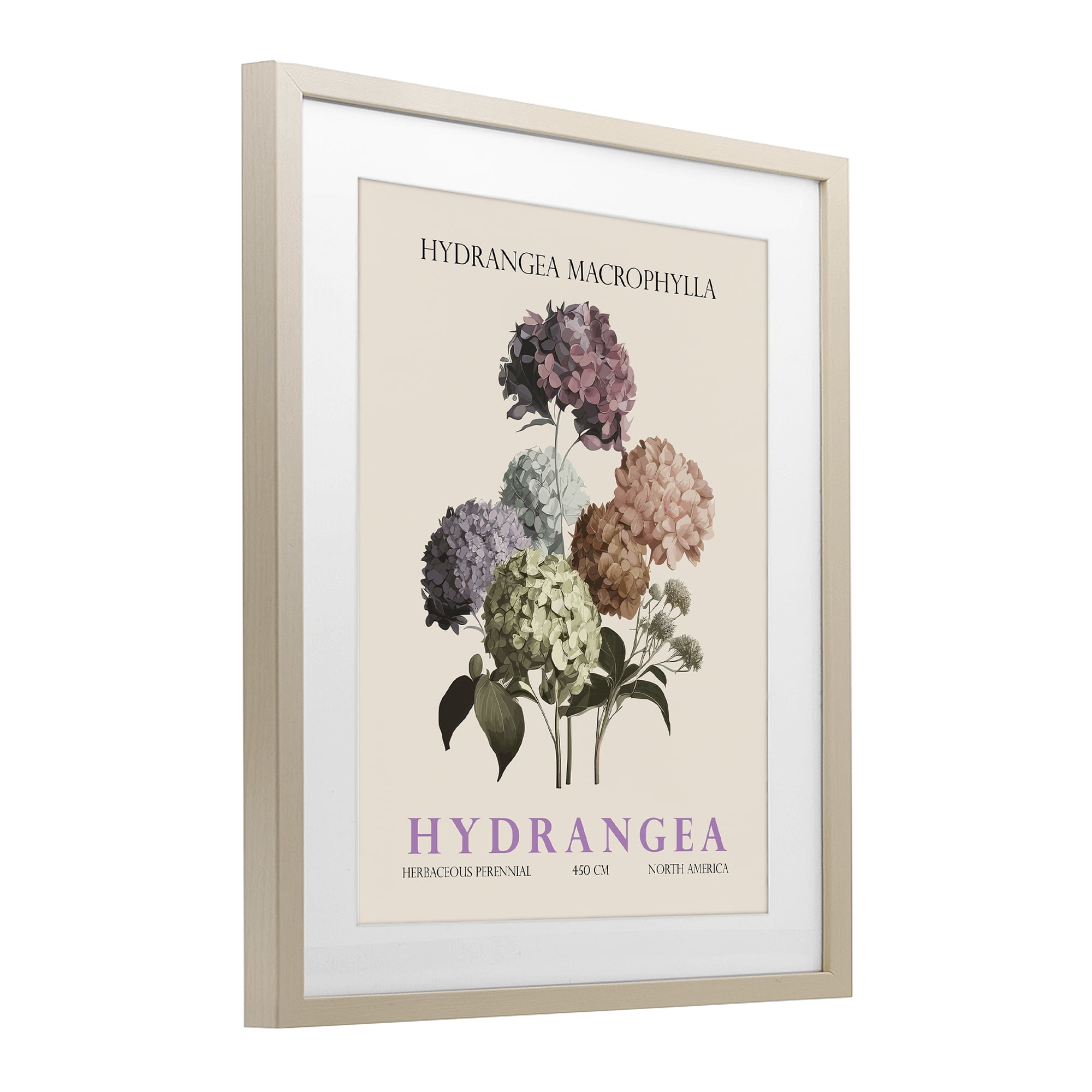 Stupell Industries Nature Hydrangea Bundle Birch Framed Print Under Glass, design by Christopher Giampietro