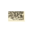 thumbnail image 4 of Historic City Map - Jetersville Sailors Creek Virginia - Michler 1864 - 36.69 x 23 - Vintage Wall Art, 4 of 5