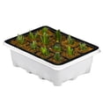 thumbnail image 2 of Caja para sembrar semillas, 12 celdas, caja para sembrar semillas, caja para sembrar, diseño aerodinámico, 2 of 7