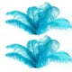 thumbnail image 1 of 20 Piezas de Plumas de Avestruz Naturales Decoración para Fiesta de Boda Lago Azul 20-25cm, 1 of 3