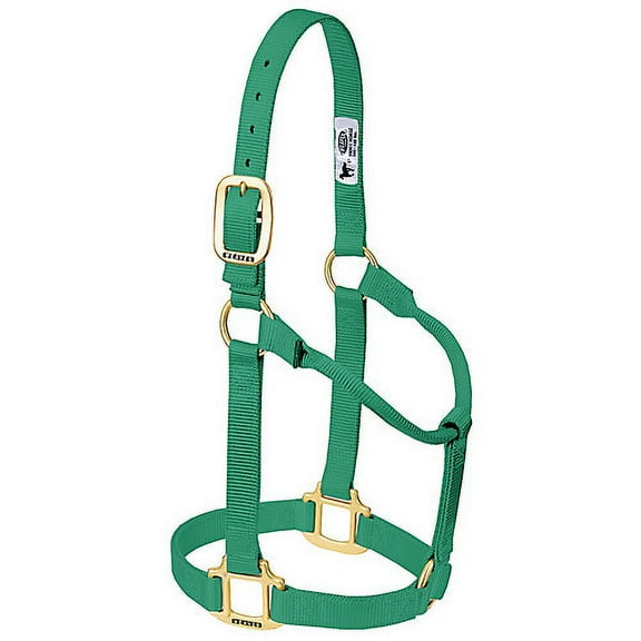 Weaver Original Nylon Halter Average Hunter Green