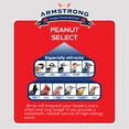 thumbnail image 3 of Armstrong Wild Bird Food Peanut Select Suet Cake, 33.9oz (Pack of 3), 3 of 6