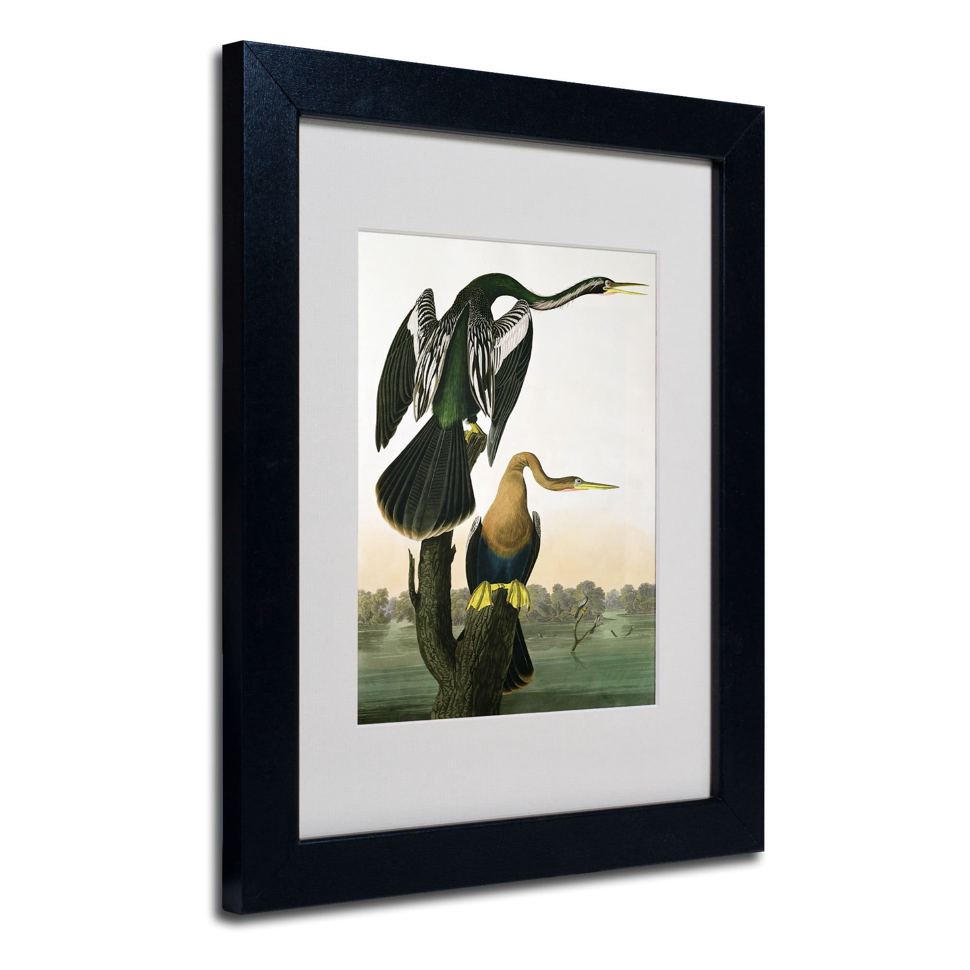 Trademark Fine Art "Black-Billed Darter" Canvas Art by John James Audubon, Wood Frame