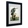 thumbnail image 3 of Trademark Fine Art "Black-Billed Darter" Canvas Art by John James Audubon, Black Frame, 3 of 5