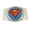 Superman Logo Lighter, variant on Removable Lighters Belt Buckle Gothic Bob Marley Musician Dub Reggae Music New Big