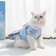 thumbnail image 5 of Vestido estilo universitario para perros pequeños, falda a cuadros, rosa, azul, verde, ropa de primavera, ropa para gatos, chihuahuas, ropa para perros, ropa para mascotas, 5 of 5