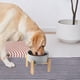 thumbnail image 5 of Comedero Elevado de Cerámica Welloyed Azul con Base de Bambú para Perros Pequeños y Medianos, 5 of 8
