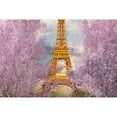 thumbnail image 3 of Kimberly, Allen 24x17 Black Modern Framed Museum Art Print Titled - Paris in Bloom, 3 of 5