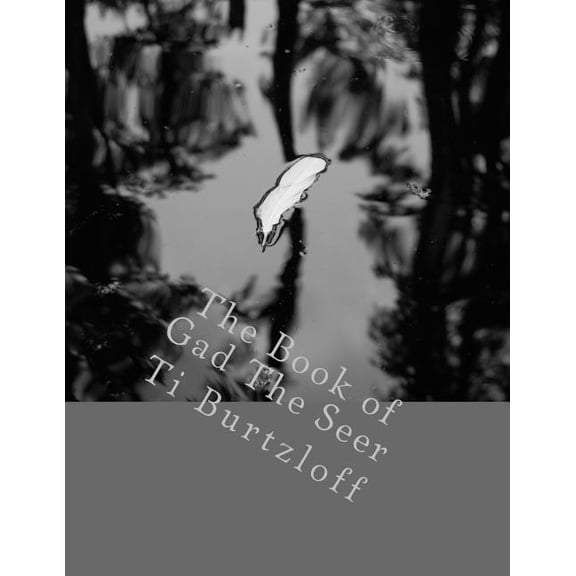 The Book of Gad the Seer (Paperback)