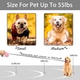 thumbnail image 3 of 5M Retractable Dog Leash, Anti-bite Heavy Duty Pet Walking Leash , 16ft Strong Nylon Tape, 3 of 8
