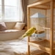 thumbnail image 5 of Comedero automático para loros: comedero transparente montado en la pared para aves pequeñas en interiores o exteriores, 5 of 6