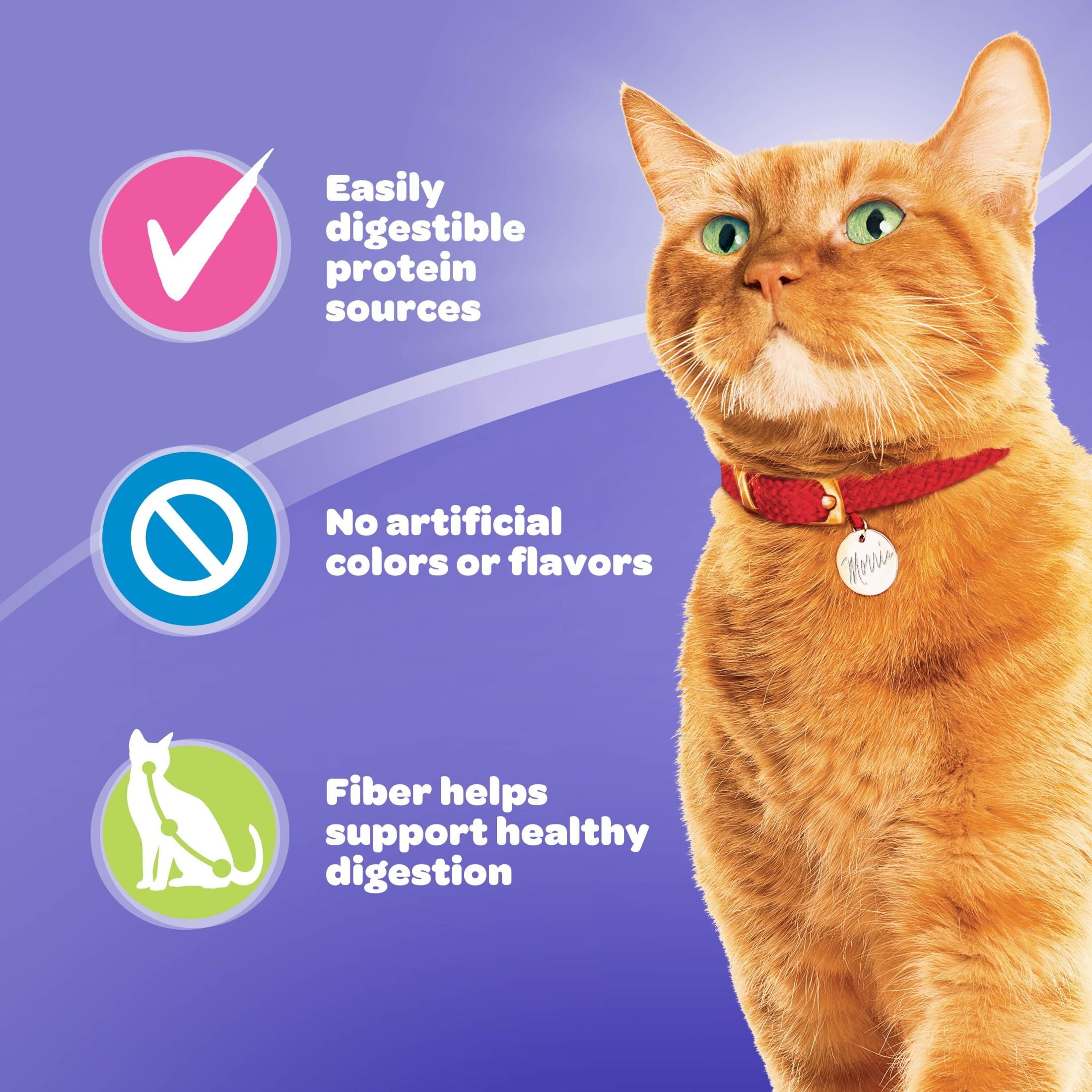 9Lives Gentle Care Dry Cat Food, 15.5 lb. Bag