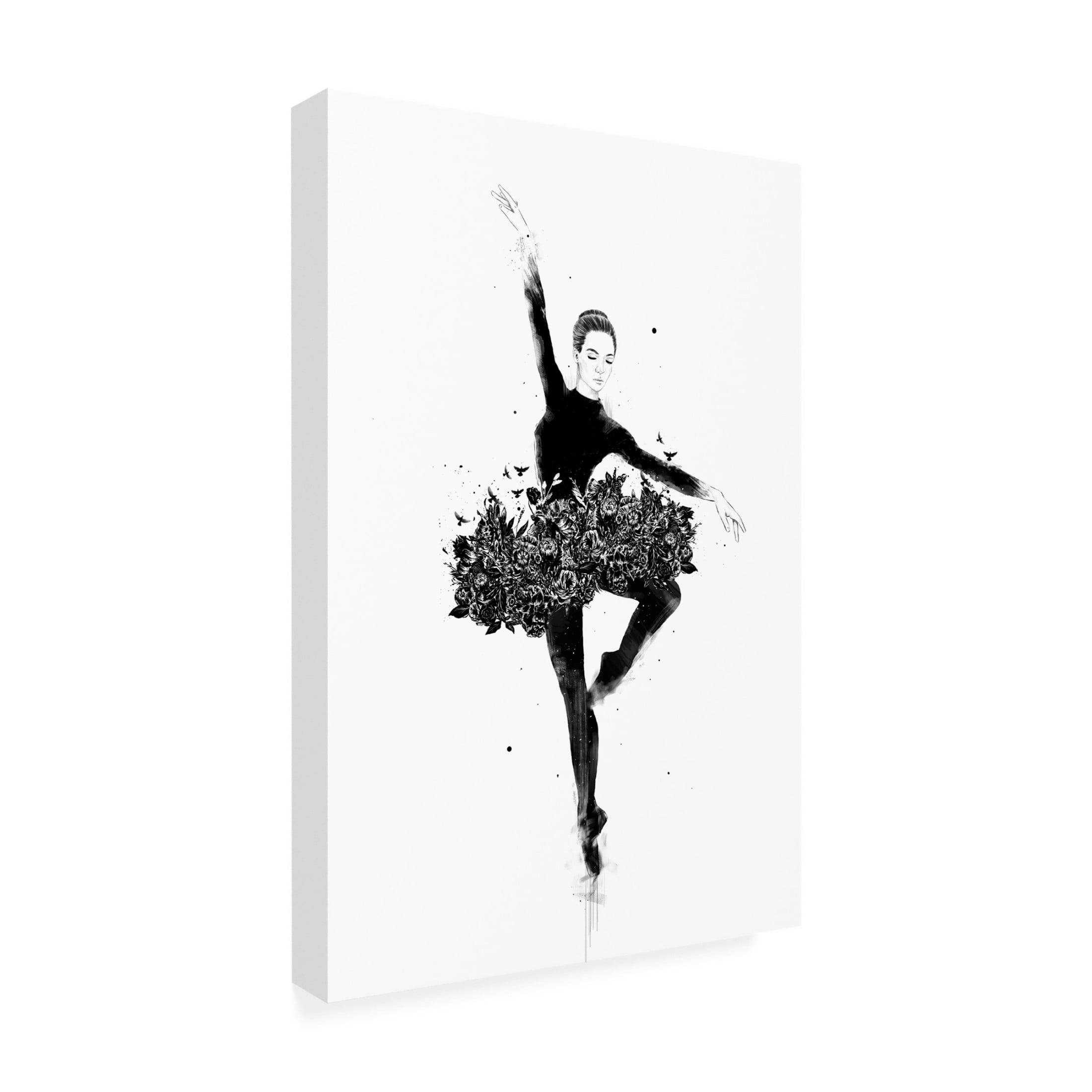 Trademark Fine Art Balazs Solti Floral dance Canvas Wall Art