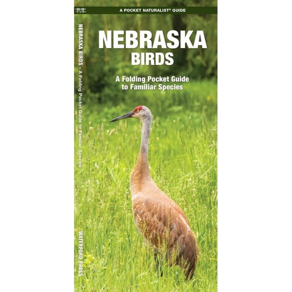 Pocket Naturalist Guides: Nebraska Birds: An Introduction to Familiar Species (Paperback)