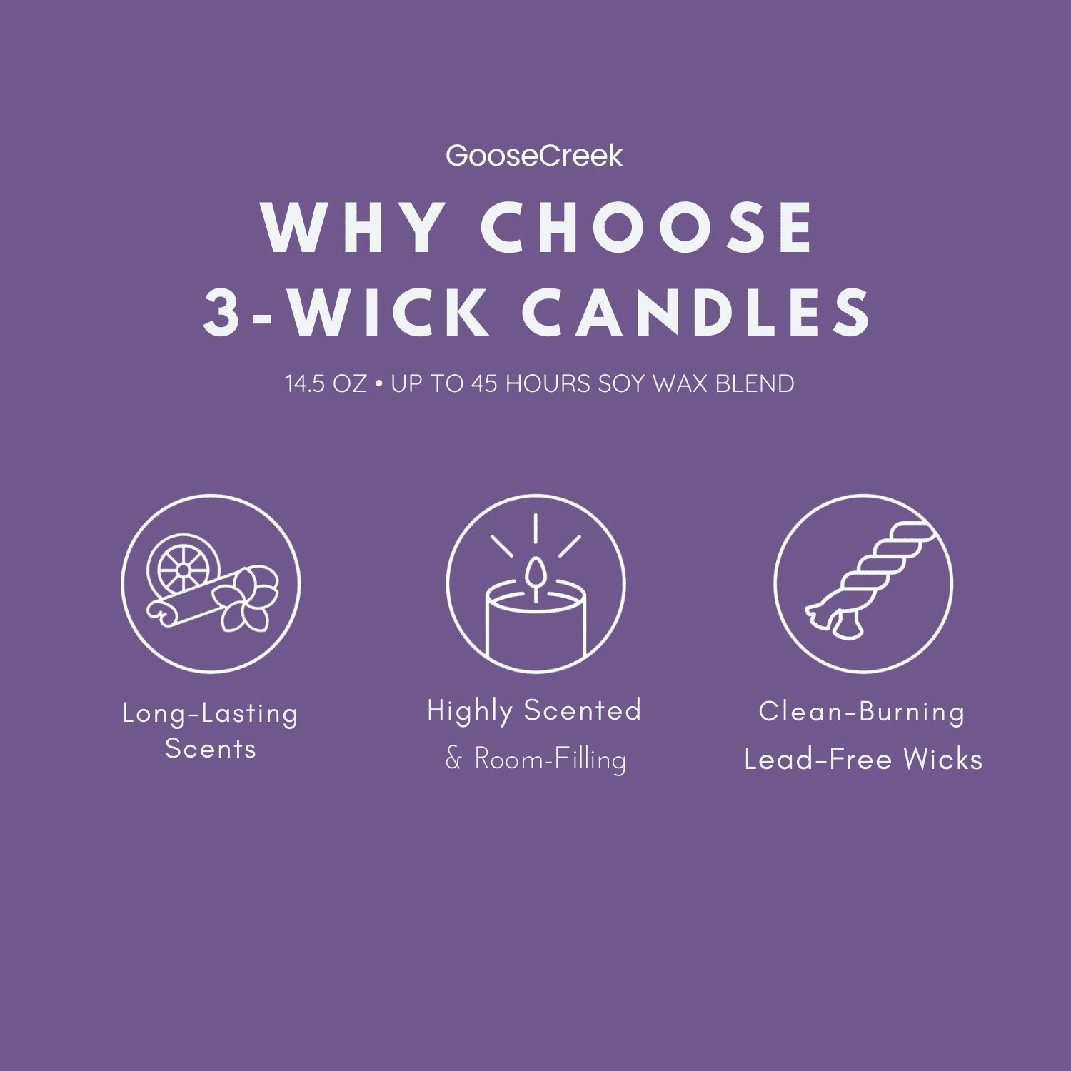 Sandy Cheeks 3-Wick Scented Candle, Glass Jar