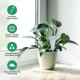 thumbnail image 3 of 4 Pack Plastic Plant Watering Devices Plants Indoor Outdoor Pots Garden Flowers Automatic Watering System (Green and Blue), 3 of 4