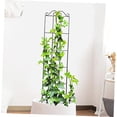 thumbnail image 5 of Lssam Garden Trellis, Rustproof Metal Climbing Plant Support, Outdoor Indoor Use for Potted Plants, 19.6 Inch Vine Obelisk Structure, 1 Pack, 5 of 9