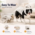 thumbnail image 3 of Dog Cat Pet Dinosaur Skeleton Costume Soft Plush Dino Outfit,Glow in The Dark Dog Dinosaur Costume Halloween Pet Outfit,Realistic 3D Skeleton Funny Costume for Dogs Big Breeds for Family, 3 of 8