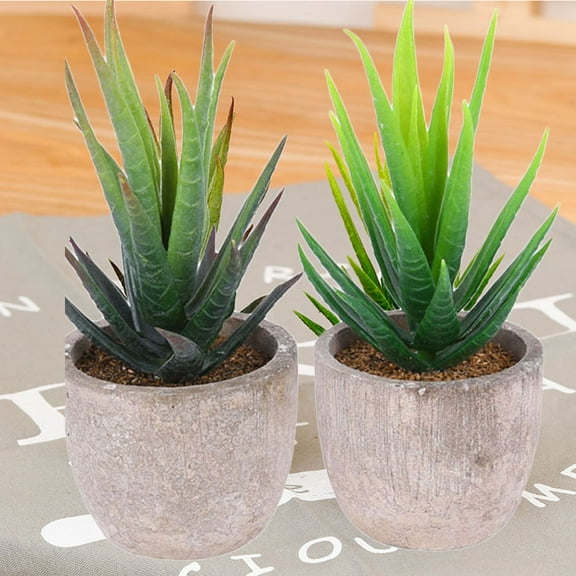 Travelwant Artificial Succulent Plants, Fake Plants Small Plants in White Ceramic Potted, Mini Decorative Faux Succulents for Window Sills, Bathrooms, Office Spaces, Desk, Bookshelf and More