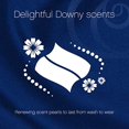thumbnail image 2 of Downy Infusions Fabric Softener Dryer Sheets, Bliss, Sparkling Amber & Rose, 90Count, 2 of 2
