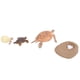thumbnail image 5 of Modelo de simulación de animales, animales marinos, ciclo de vida, modelo cognitivo, juguete científico para niños, 2423, 5 of 9