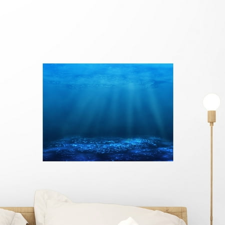 Longboard Bottom Stickers Underwater Bottom Wall Mural Decal Sticker, Wallmonkeys Peel & Stick Vinyl Graphic (18 in W x 14 in H) ()