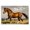 Graceful Trotting Horse Landscape, variant on Stupell Industries Stallion in Marshland Black Framed Giclee Art, design by Creative Studio