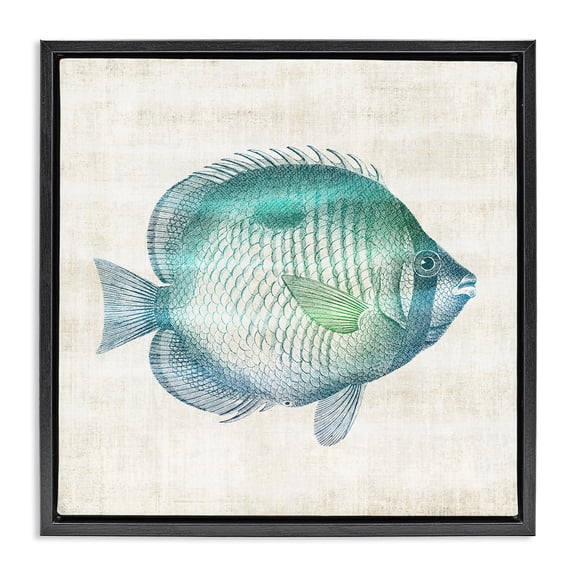 Stupell Industries Fish Impression Sea Life Animals Painting Black Floater Framed Canvas Art Print Wall Art, 18 x 18