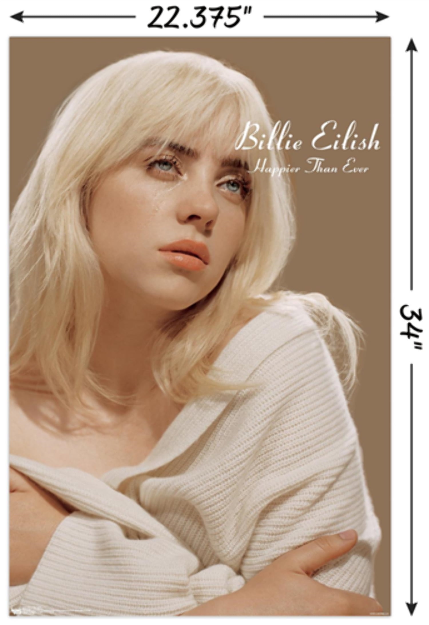 Billie Eilish ポスター 布 Billie Eilish 布 ポスター 2025 ビリーアイリッシュ - メルカリ