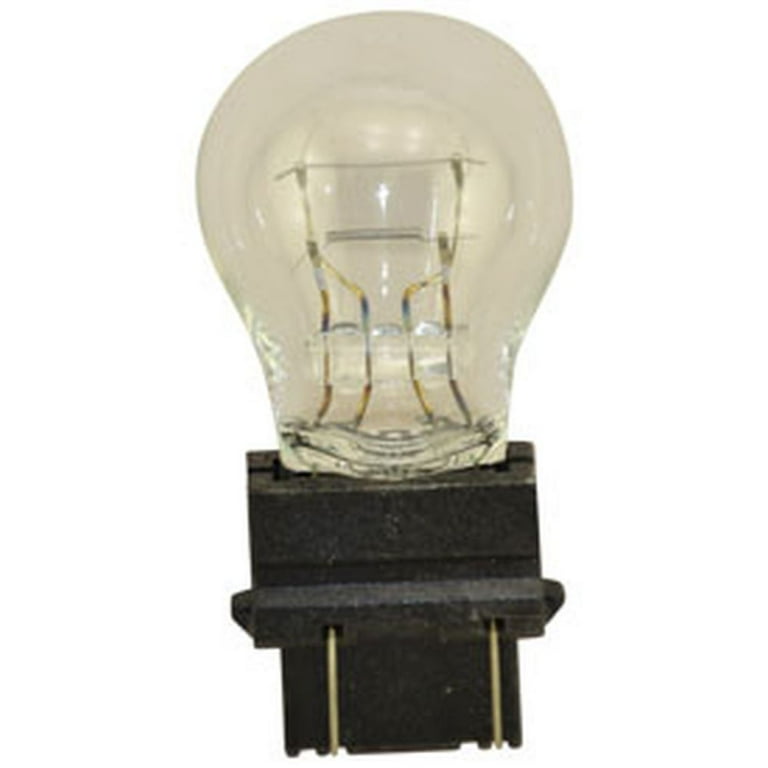 Harley Davidson Tail Light Bulb Number Shelly Lighting