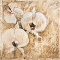 thumbnail image 2 of Jardine, Liz 12x12 Gold Ornate Wood Framed with Double Matting Museum Art Print Titled - Fragrant Snow II, 2 of 4
