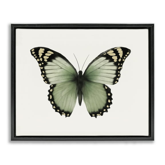 Stupell Industries Green Symmetrical Butterfly Animals Painting Black Floater Framed Canvas Art Print Wall Art, 21 x 17